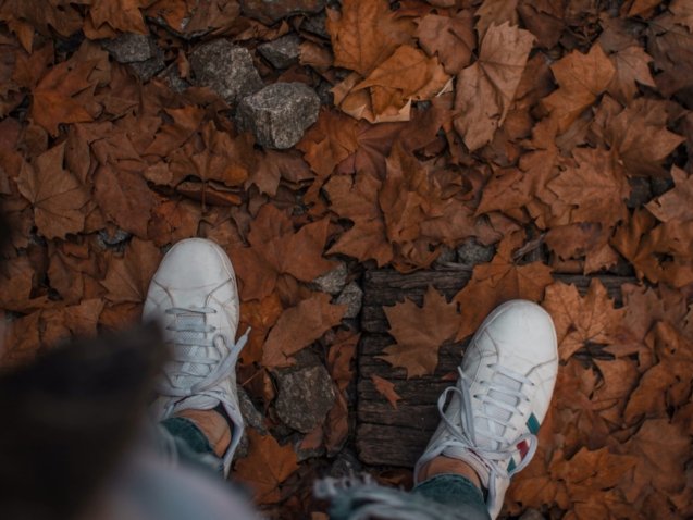 felipepelaquim-R5PwcuSVL2c-unsplash